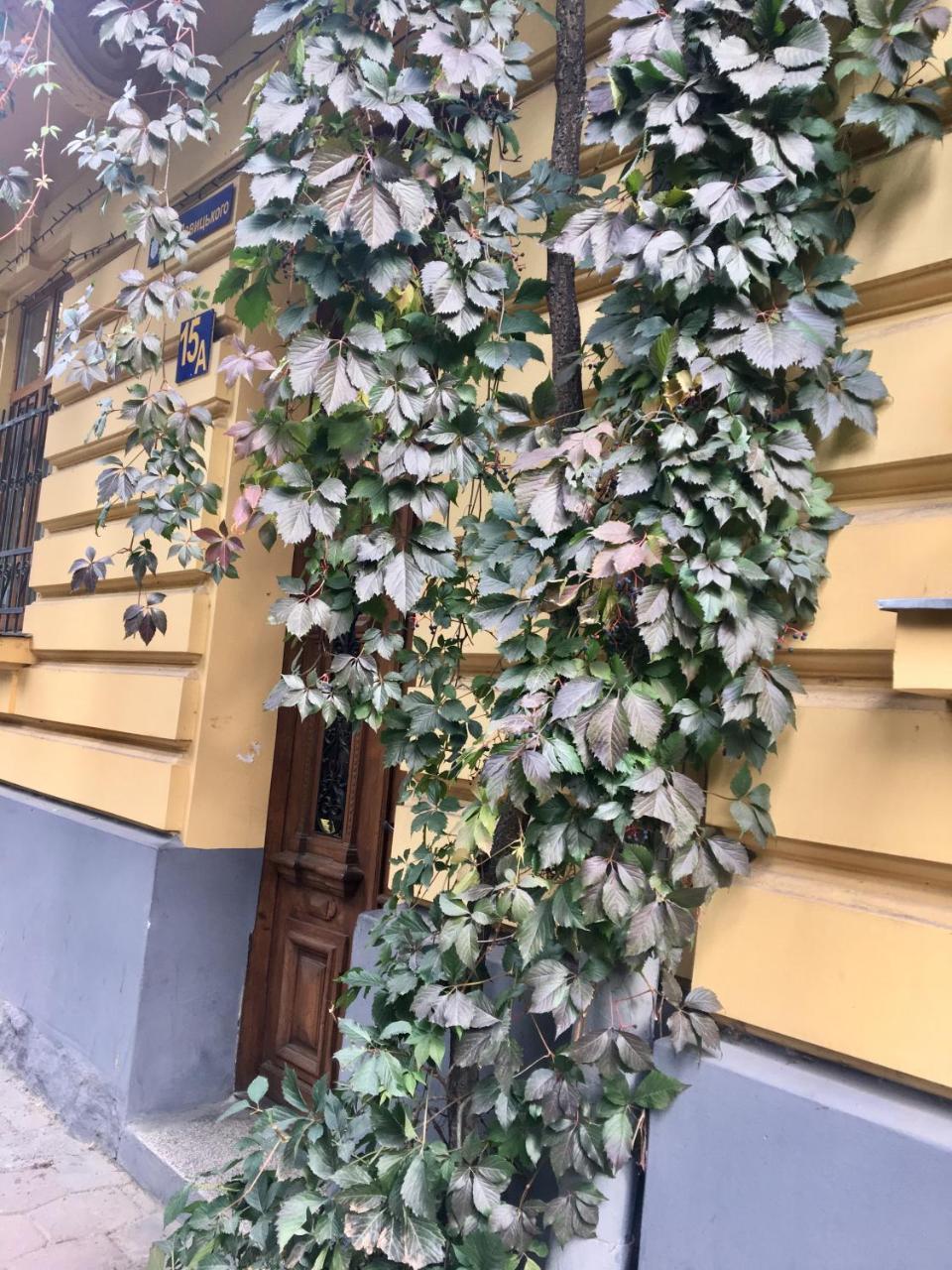 Lux Apartament На Левицького Lviv Dış mekan fotoğraf